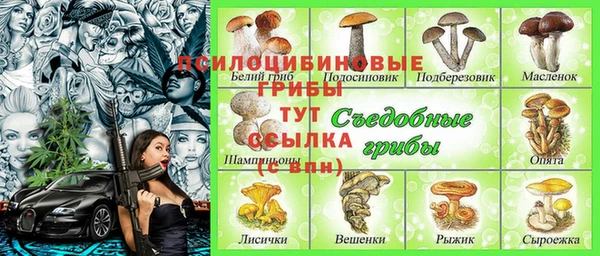 круглые Аркадак