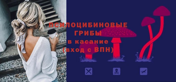 круглые Аркадак