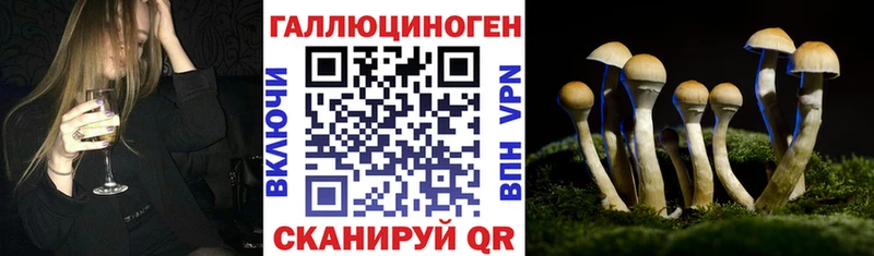 mega tor  закладка  Сим  Галлюциногенные грибы Psilocybe 
